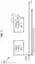 Fig. 02 - METHODS AND APPARATUSES FOR HANDLING UPLINK (RE)TRANSMISSION IN UNLICENSED AND CONTROLLED ENVIRONMENT