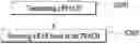 Fig. 01 - Method and apparatus for transmitting and receiving signals in wireless communication system
