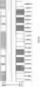 Fig. 08 - Shared spectrum access for broadcast and bi-directional, packet-switched communications