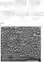 Fig. 05 - METHOD OF MANUFACTURING ANTIBACTERIAL COVER WINDOW, AND ANTIBACTERIAL COVER WINDOW MANUFACTURED THEREBY