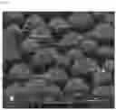 Fig. 09 - METHOD OF MANUFACTURING ANTIBACTERIAL COVER WINDOW, AND ANTIBACTERIAL COVER WINDOW MANUFACTURED THEREBY