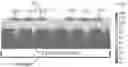 Fig. 01 - Heat sink system