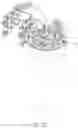 Fig. 06 - Flower shaped fixing structure for flower combination provided in top opening of vase/pot