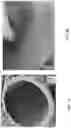 Fig. 04 - SELF-WATERING PLANTER