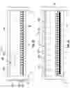 Fig. 22 - Hydroponic grower