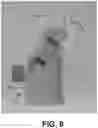 Fig. 07 - SENSING AND INTEGRATING DATA OF ENVIRONMENTAL CONDITIONS IN ANIMAL RESEARCH