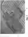Fig. 08 - SENSING AND INTEGRATING DATA OF ENVIRONMENTAL CONDITIONS IN ANIMAL RESEARCH