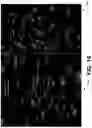 Fig. 15 - SENSING AND INTEGRATING DATA OF ENVIRONMENTAL CONDITIONS IN ANIMAL RESEARCH