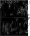 Fig. 16 - SENSING AND INTEGRATING DATA OF ENVIRONMENTAL CONDITIONS IN ANIMAL RESEARCH