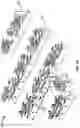 Fig. 12 - PRECISION FLUID DELIVERY SYSTEM