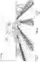 Fig. 29 - AUTONOMOUS AGRICULTURAL OBSERVATION AND PRECISION TREATMENT SYSTEM