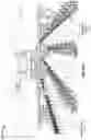 Fig. 55 - AUTONOMOUS SYSTEM FOR LIGHT TREATMENT OF A PLANT