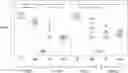 Fig. 01 - MINIMIZING IMMUNOGENICITY OF DECELLULARIZED TISSUES