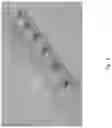 Fig. 02 - NO SCENT TOPICAL MOSQUITO CONTROL PRODUCT