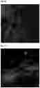 Fig. 04 - Antifungal composition having excellent antifungal activity even at low temperature