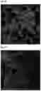 Fig. 07 - Antifungal composition having excellent antifungal activity even at low temperature