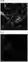 Fig. 09 - Antifungal composition having excellent antifungal activity even at low temperature