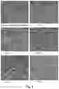 Fig. 04 - MOSQUITOCIDAL XENORHABDUS, LIPOPEPTIDE AND METHODS