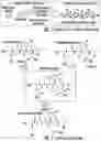 Fig. 02 - Preservative compositions and methods of use thereof