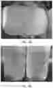 Fig. 03 - Compositions comprising a casein and methods of producing the same