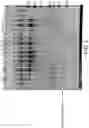 Fig. 05 - Compositions comprising a casein and methods of producing the same