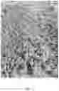 Fig. 02 - Protein compositions for plant-based food products and methods for making