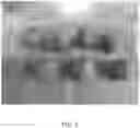 Fig. 03 - Protein compositions for plant-based food products and methods for making