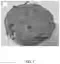 Fig. 10 - Textured Plant Protein Product and Method