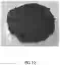 Fig. 11 - Textured Plant Protein Product and Method