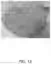 Fig. 14 - Textured Plant Protein Product and Method