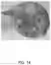 Fig. 15 - Textured Plant Protein Product and Method