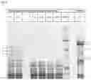 Fig. 06 - FERMENTATION BROTHS AND THEIR USE