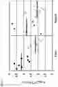 Fig. 07 - NICKEL CHELATION THERAPY