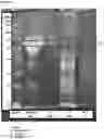 Fig. 05 - Bee-less honey