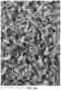 Fig. 06 - Enhanced aerobic fermentation methods for producing edible fungal mycelium blended meats and meat analogue compositions