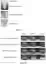 Fig. 05 - Protein compositions and consumable products thereof
