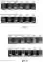 Fig. 09 - Protein compositions and consumable products thereof