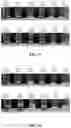 Fig. 11 - Protein compositions and consumable products thereof