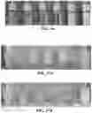 Fig. 14 - Protein compositions and consumable products thereof