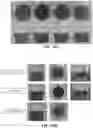 Fig. 15 - Protein compositions and consumable products thereof