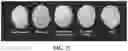 Fig. 18 - Protein compositions and consumable products thereof