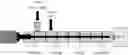 Fig. 01 - Process for encapsulating natural follistatin