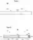 Fig. 07 - Separate age/ID verification module for aerosol delivery device