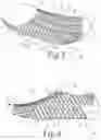 Fig. 03 - Article of hosiery