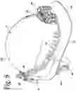 Fig. 06 - Safety helmet fan system