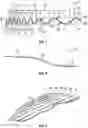 Fig. 04 - Sole structure for an article of footwear with undulating sole plate