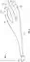 Fig. 05 - Footwear and soles thereof