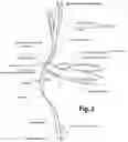 Fig. 03 - SHOE ACCOUTREMENTS AND METHODS OF MAKING AND USING THE SAME