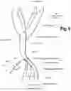 Fig. 07 - SHOE ACCOUTREMENTS AND METHODS OF MAKING AND USING THE SAME