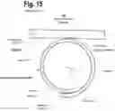 Fig. 16 - SHOE ACCOUTREMENTS AND METHODS OF MAKING AND USING THE SAME